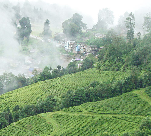 MYSTIC HIMALAYA