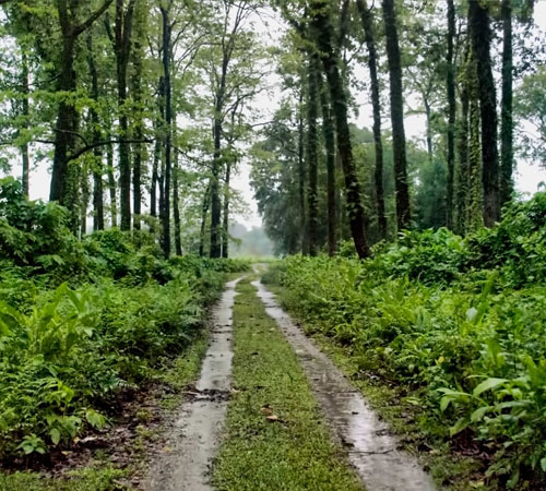 TOUR TO NATURE