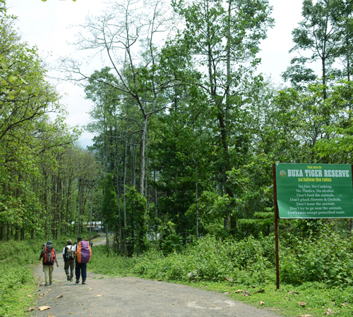 Buxa, Jaldapara Gorumara