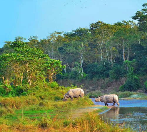 Glimpse Of Nepal
